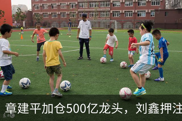 章建平加仓500亿龙头，刘鑫押注商业航天，多名牛散持仓曝光